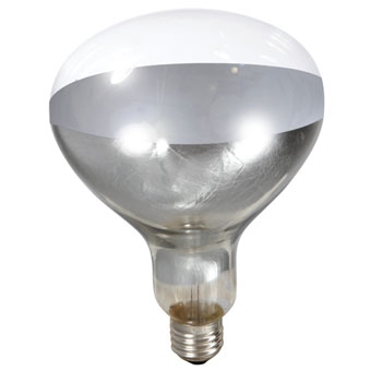 Miller Mfg Heat Lamp Bulb Clear 250 Watt