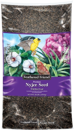 Feathered Friend Nyjer Thistle Seed 10lb