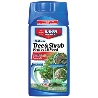 Bayer Tree & Shrub Protect & Feed Concentrate 1qt