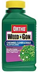 Ortho Weed-b-gon Chickweed And Clover Killer 16oz