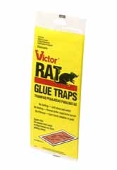 Rat Glue Tray 2pk