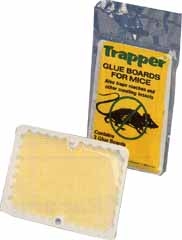 Mouse Sized Glue Boards