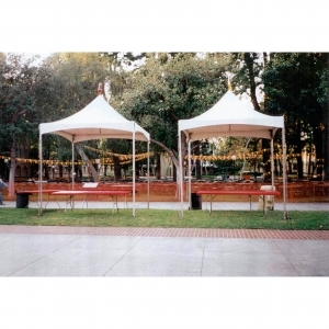 10 x 10 Fiesta Marquee Tent