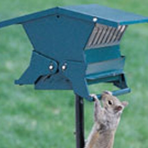 Absolute® Squirrel Proof Bird Feeders