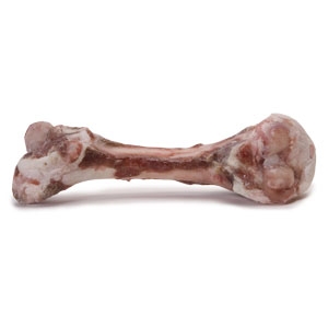 Primal Raw Lamb Femur Bones