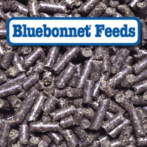 Bluebonnet® Intensify Omega Force Pelleted Horse Feed