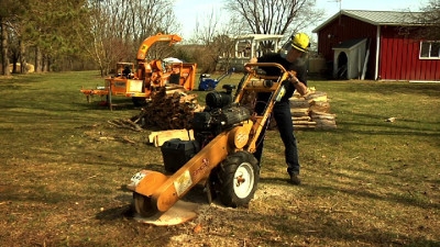 Stump Grinder Rental