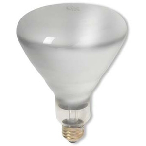 Havells Heat Lamp Bulb