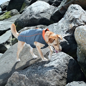 Dog Gone Smart Trailblazer Jacket