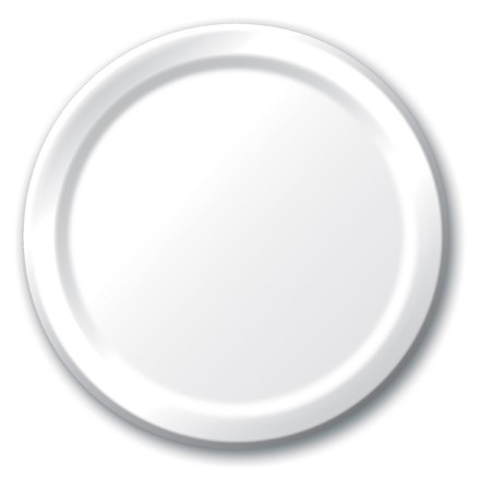 White Plastic Dinner Plate - 10" - 20/pack