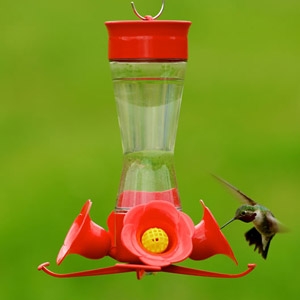 Perky-Pet® Waist Glass Hummingbird Feeder