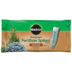 Miracle-Gro Evergreen Fertilizer Spikes, 12-Pk.
