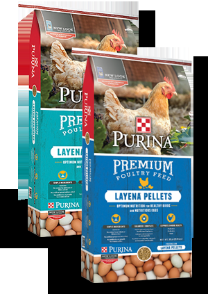 Purina Layena® Chicken Feed