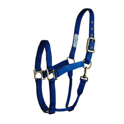 Value Horse Halter with Throat Snap