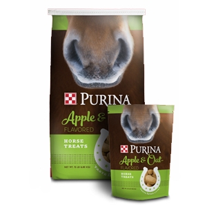 Purina Horse Treats Apple & Oat Flavored for Dogs