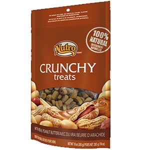 Nutro 10oz Crunchy Dog Treats with Real Peanut Butter