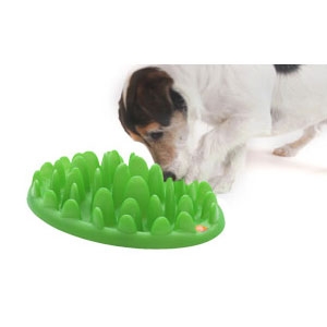 Green Mini Interactive Feeder for Dogs