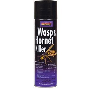 Bonide Wasp & Hornet Killer Spray 