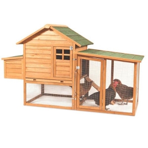 Peak Roof Chicken Coop w/ 2 Nesting Boxes