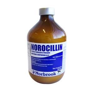 Norbrook® Norocillin