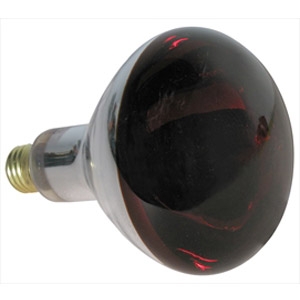 Heat Lamp Bulb