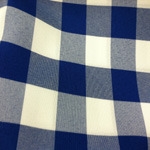 Color Swatch: Blue and White Check