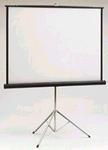 Projection Screen 8'x8'