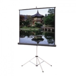 Projection Screen, 70
