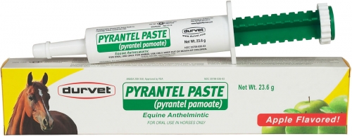 Pyrantel Paste 23.6 g.
