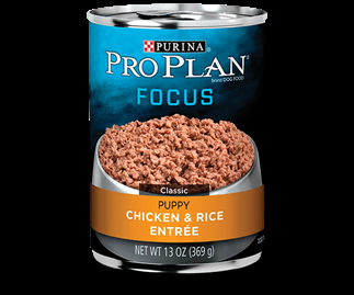 Purina Pro Plan Focus Puppy Chicken and Rice Entree 13 ounce can