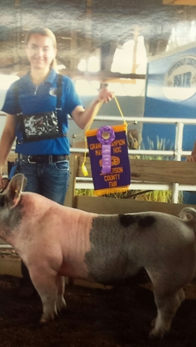 Fair Winners and Participants