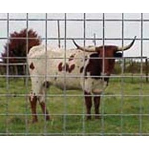 Wire 16' Cattle Panel Fencing