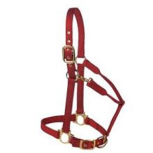 Premium Halter with Adjustable Chin and Throat Snap