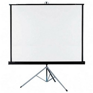 Video/Projector Screen 7'