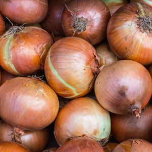 Onion Sets 