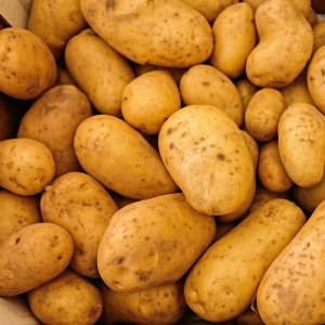 Potato Sets 