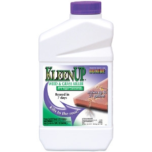 Bonide KleenUp 41% Concentrate Quart