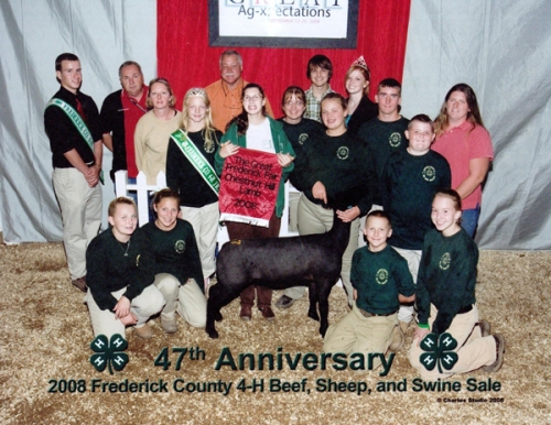 2008 Frederick County 4-H Beef, Sheep, and Swine Sale