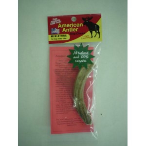 Miniature Antler Dog Chew