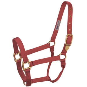 Hamilton Horse Halter