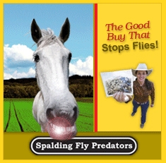 Spalding Fly Predators