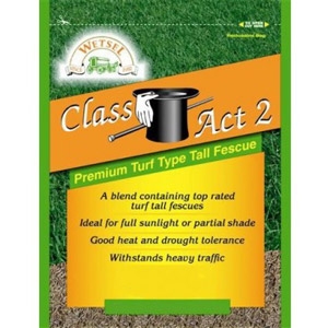Class Act 2 Tall Fescue