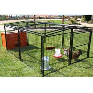 Rough and Rugged Welded Chicken Pen