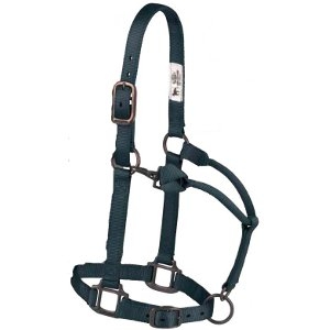 Weaver Halters and Lead Ropes