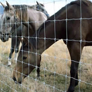 Horse-Tuff™ Fencing