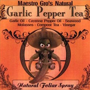 Maestro-Gro Garlic Pepper Tea