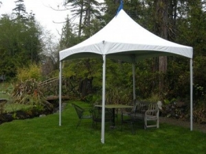 9' x 10' Marquee Tent