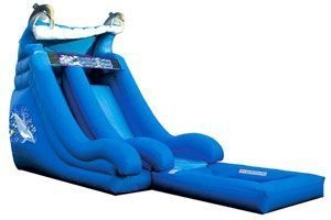 Super Splash Down Inflatable Water Slide