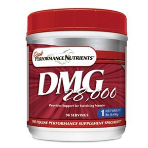 DMG 28000™ for Horses