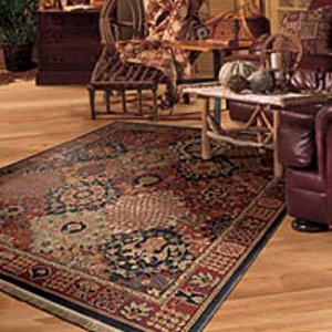 Shaw Industries Rugs